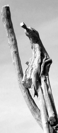 cliquez pour entrer dans sa galerie